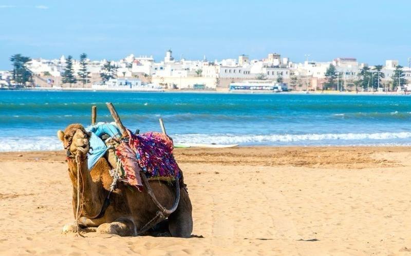 Appartement Essaouira Proche De La Mer Екстериор снимка