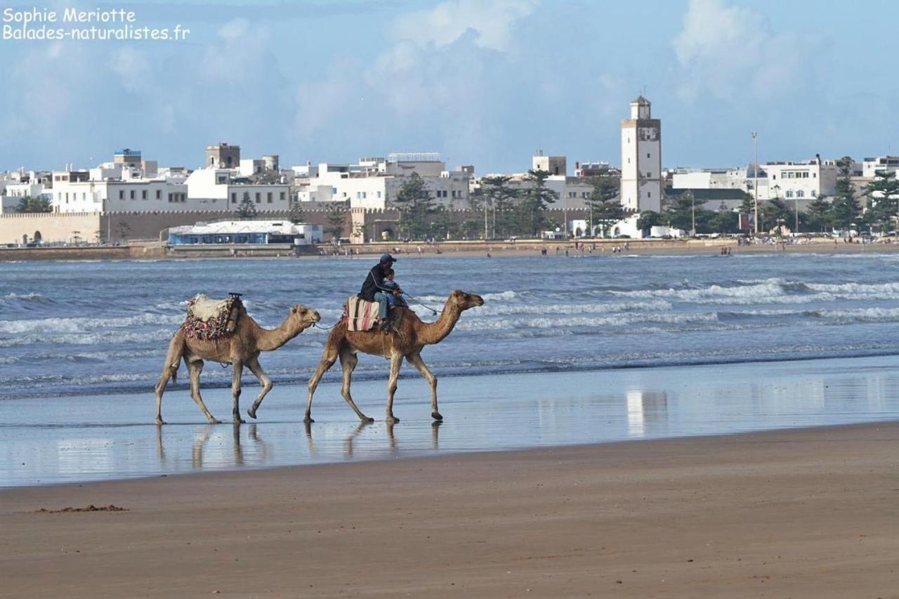 Appartement Essaouira Proche De La Mer Екстериор снимка